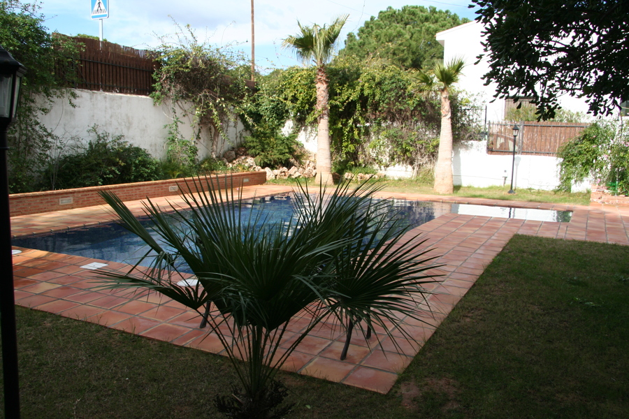 Vista piscina y macetero lateral con iluminación