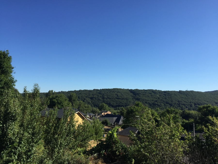 Vistas desde ventanal