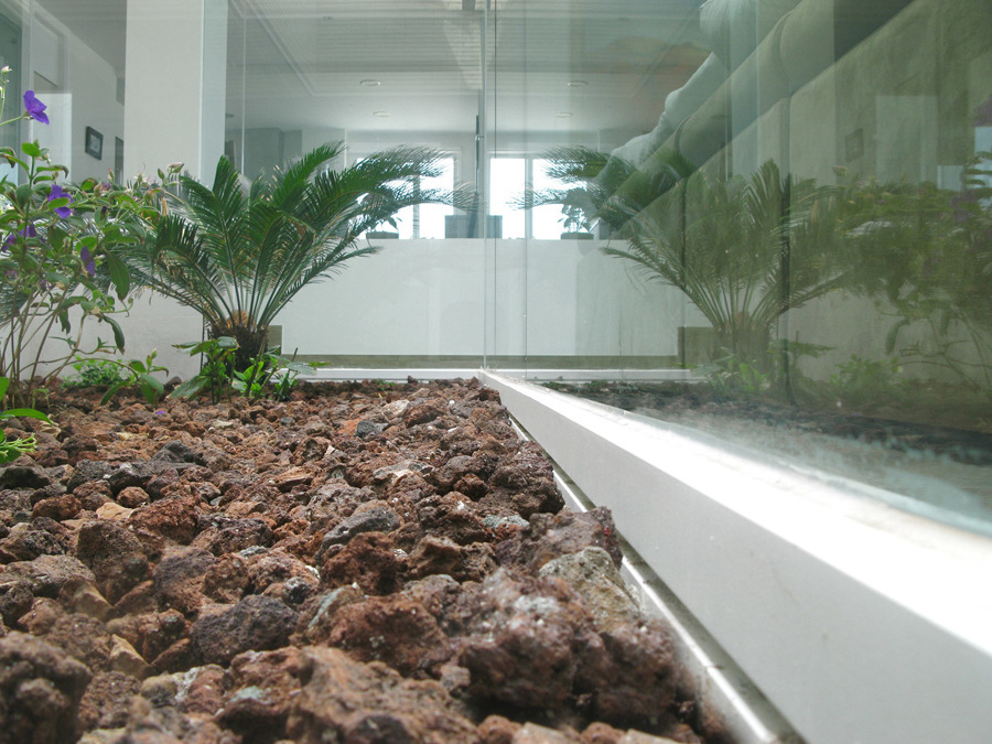 Vivienda ACP, Cádiz