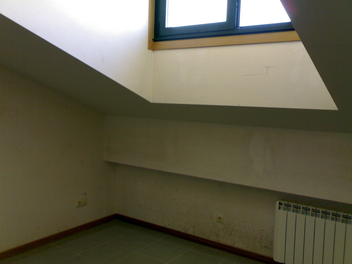 Vivienda antes del proyecto.