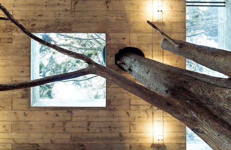 Vivienda de diseño en el bosque