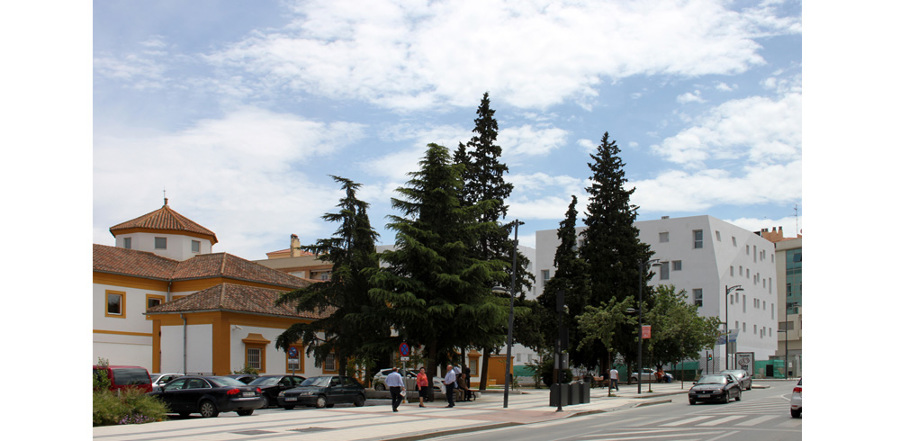 Viviendas VPO Guadix_Av. Medina Olmos