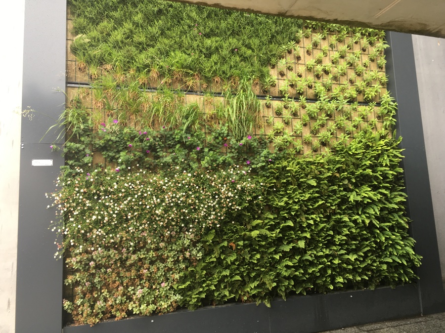 Ya estamos a comienzos de verano.