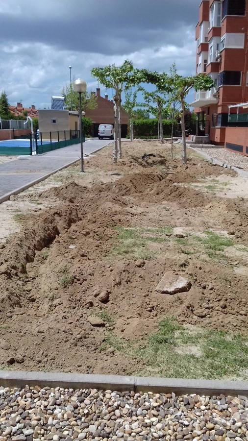 zanjas pradera grande