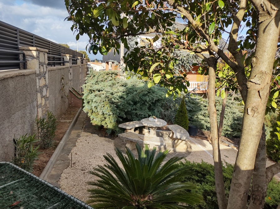 Zona ajardinada donde su ubicará el proyecto.