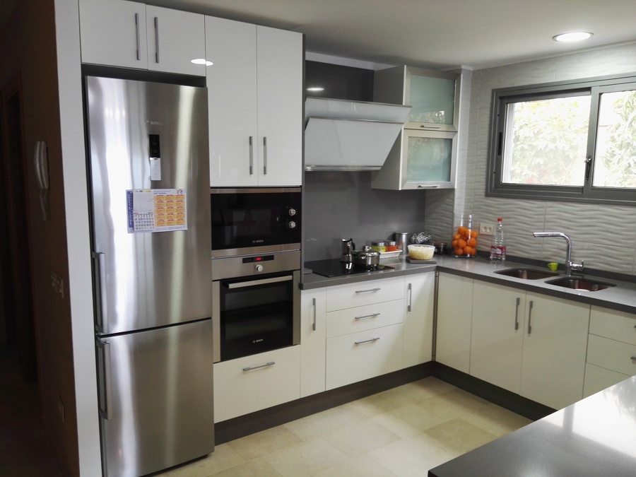 Zona coccion y frigorifico.