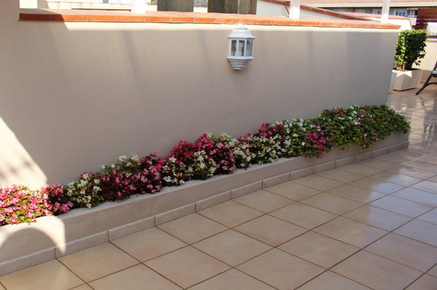 Zona de paso llena de flores