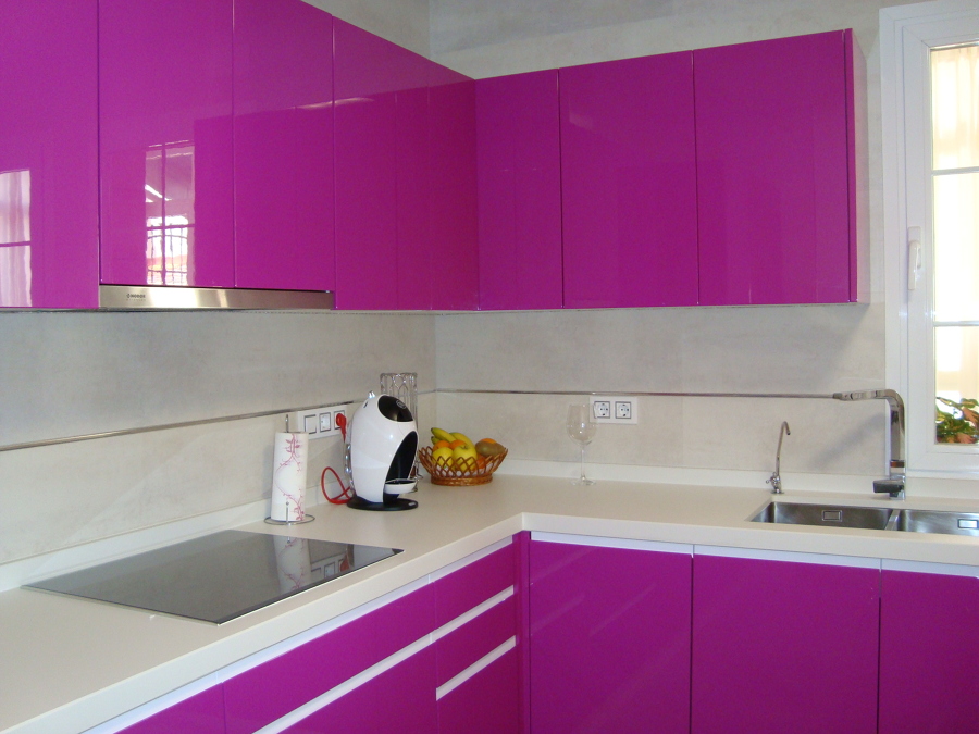 Zona de placa y fregadero