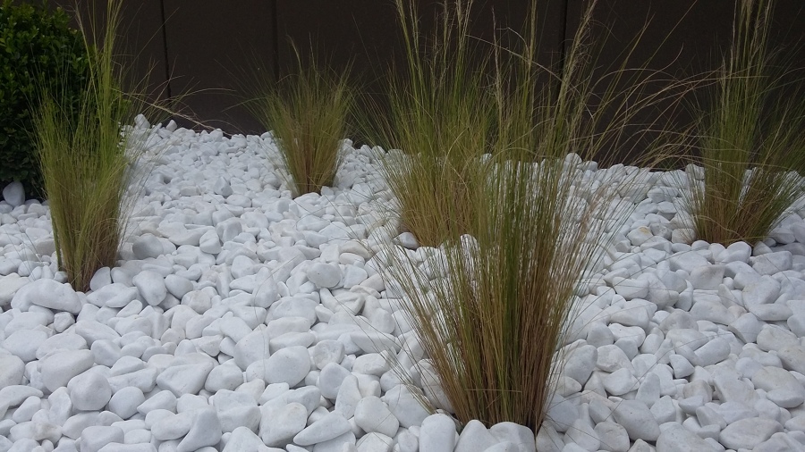 Zona jardinera lateral (foto 2)