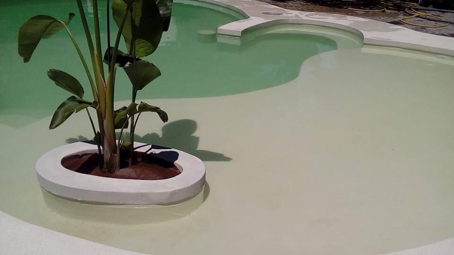 Zona para las plantas