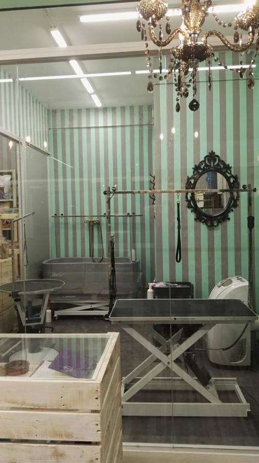 Zona peluquería canina