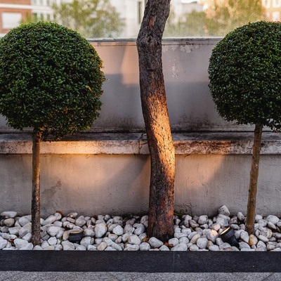 002 Estado después de la reforma de la terraza-jardín