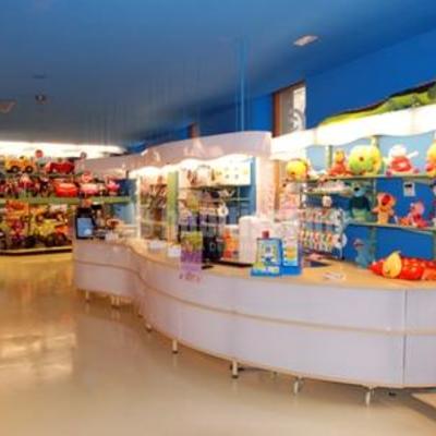 Botiga de joguines