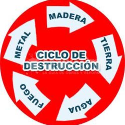 Estudios de feng shui para la casa o la oficina 