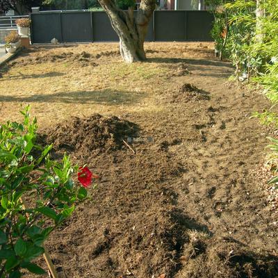 Proyecto integral de decoración de exterior