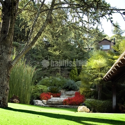 Césped artificial Royal Grass