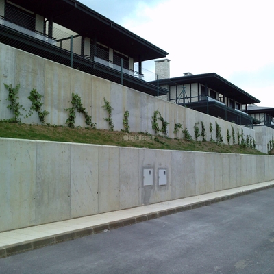 40 Viviendas En La Loma