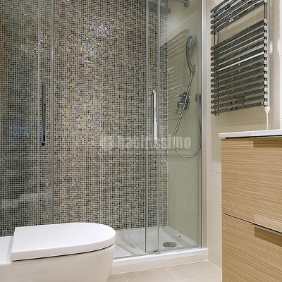 Viviendas particulares