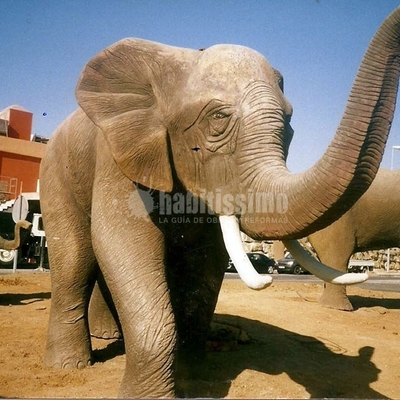 Tematizaciones Para Piscinas, Jardines, Viviendas y Locales