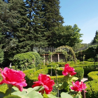 Reforma De Casita Campestre