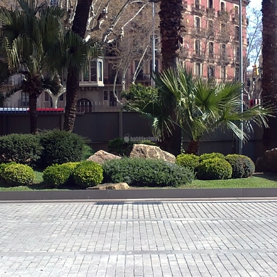 Jardin Planta y Arbustos Autóctonos Zona