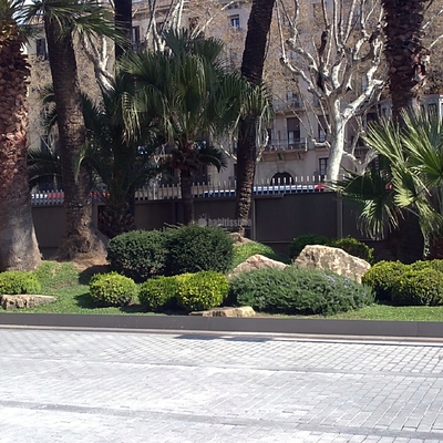 Jardin Planta y Arbustos Autóctonos Zona