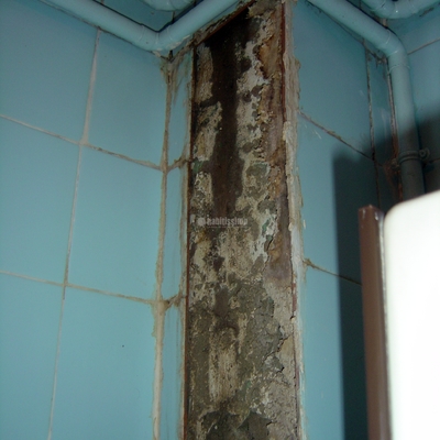 Reparación Bajantes Baño