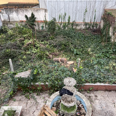 Limpieza del Jardín de una casa que estuvo okupada durante más de 3 años.