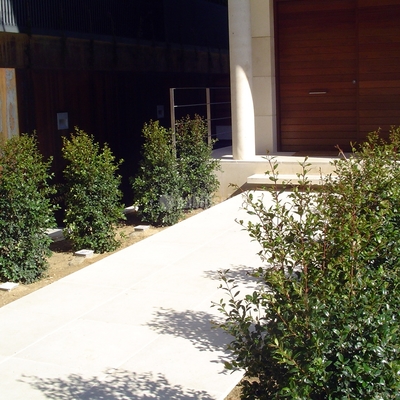 Jardí a Barcelona. Caràcter bohemi