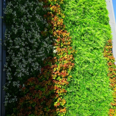 Instalación jardín vertical en Valencia