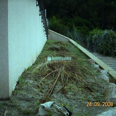 Disseny, obra i plantació de baix manteniment