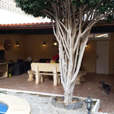 Reforma y saneamiento de un porche