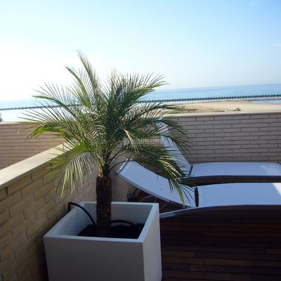 Remodelación de Terraza