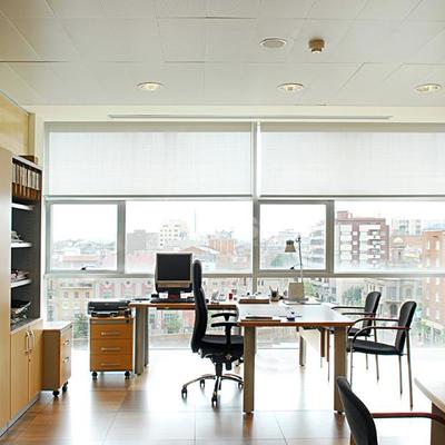  Edificio El Viver (Ayuntamiento de Badalona)