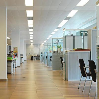  Edificio El Viver (Ayuntamiento de Badalona)