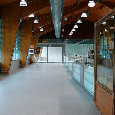 Proyecto de edificio de venta en Dantxarinea