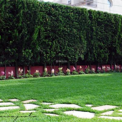 Recuperación de Jardín