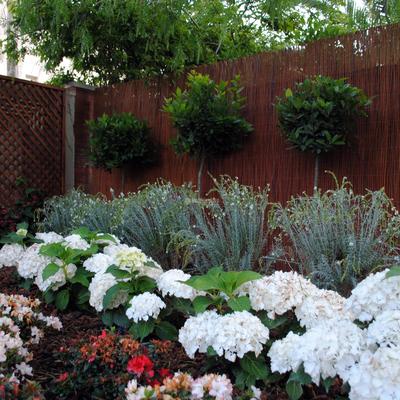 Recuperación de Jardín