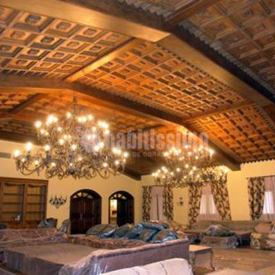 Techos artesonados / coffered ceilings / decoración tradicional / traditional decoration