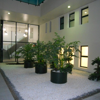 Acceso a espacio central de recepción