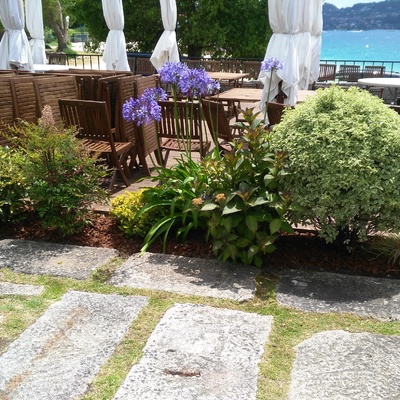 Acondicionado corteza de pino