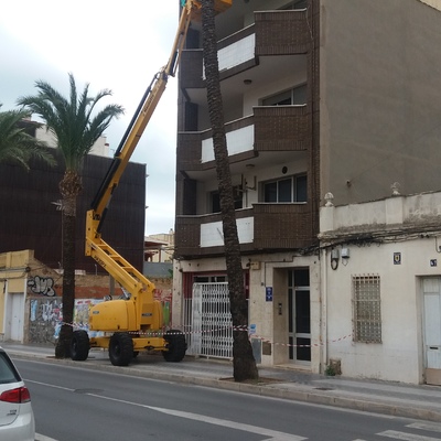 Ánimo ya tenemos dos plantas limpias