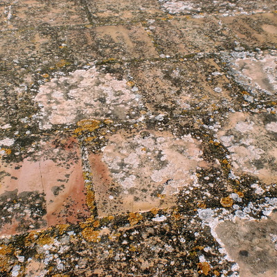 Aplicacion de caucho sobre cubierta plana