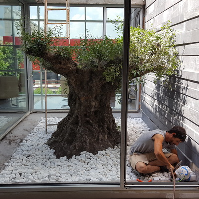 Ahora si tienes un jardín en tu oficina.