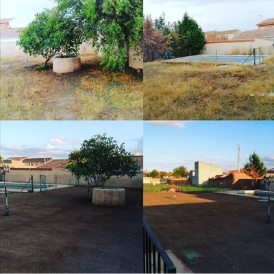 Arreglo de jardin