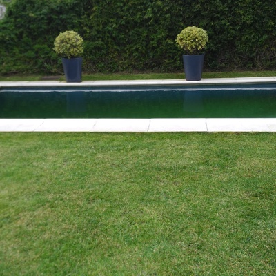 AspectoCesped escaso de agua por fallo del riego