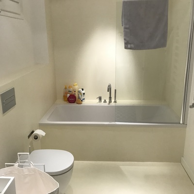 Baño acabado (Microcemento)