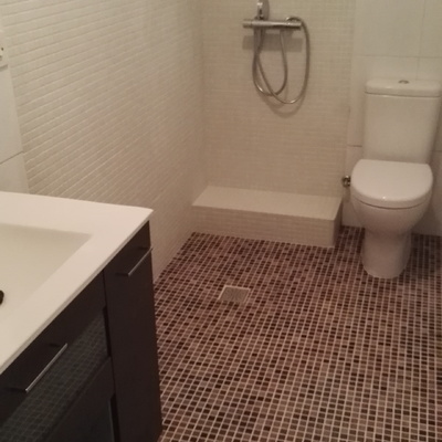 Adaptacion baño para persona dependiente