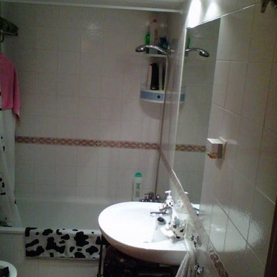 Baño de matrimonio antes de la reforma