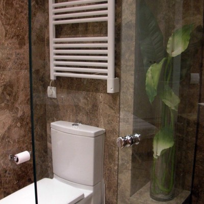 Baño principal zona inodoro